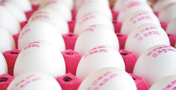 Yumurtadaki organik hilesi bitiyor