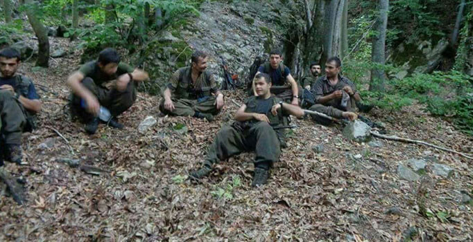 Amanoslarda 5 ayda 29 terörist öldürüldü