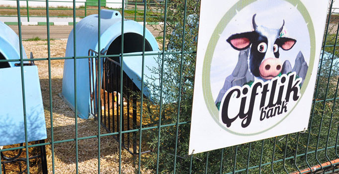 Çiftlik Bank, evlilikleri yıkmaya başladı: 3 kadın boşanma davası açtı