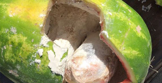 Van'da operasyon: Karpuzun içinden uyuşturucu çıktı