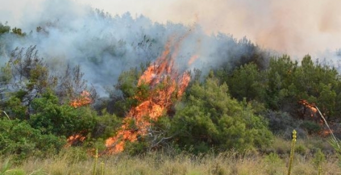 Amanos Dağları'ndaki yangın sürüyor, 100 hektar kül oldu