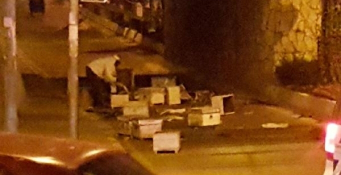 Kazada yola savrulan kovanlardan çıkan arılar çevredekilere saldırdı