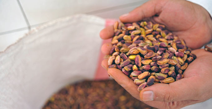 Yeşil altın cep yakıyor: Kilosu 130 liraya çıktı