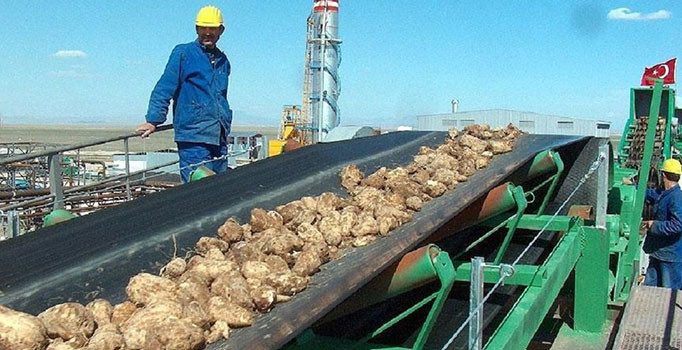 Rekabet Kurulu'ndan 5 şeker fabrikasının satışına onay