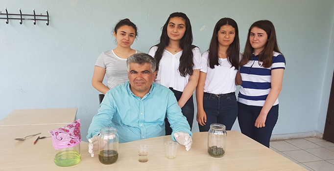 Su yosunundan mazot ürettiler