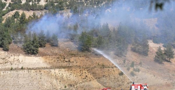 Piknik ateşi 1 hektarlık ormanlık alana zarar verdi
