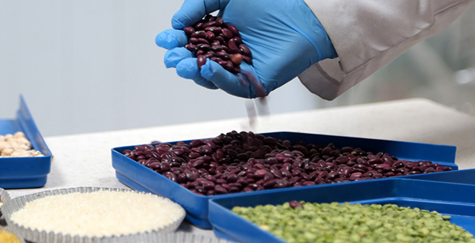 Uzmanlar uyarıyor: Ramazan'da bakliyat tüketimini artırın