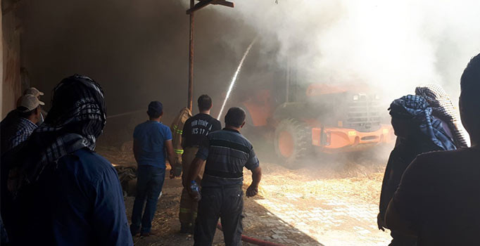 İzmir Foça'da korkutan yangın