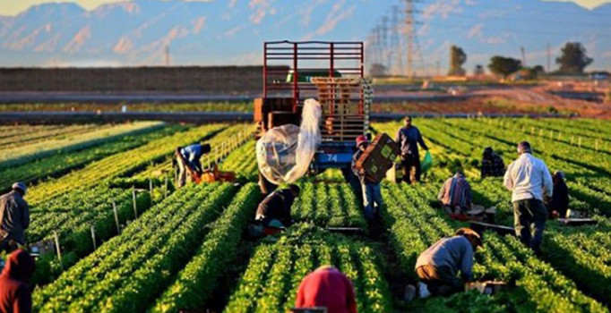 Son dakika! İsrail'den Türkiye'ye ikinci misilleme: Tarım ürünleri ithalatını dondurdu