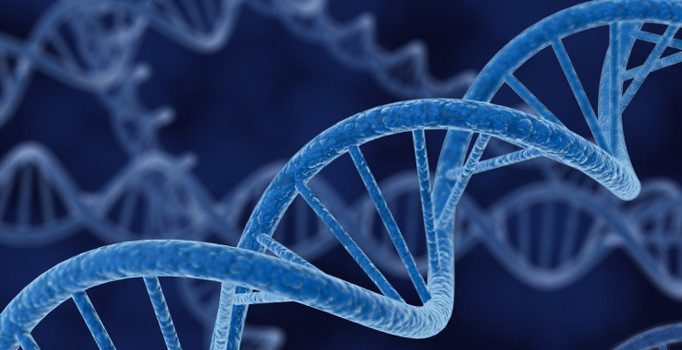 DNA örneğinden saç, göz ve cilt rengini tahmin eden cihaz