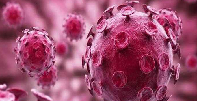 BM ve Dünya Sağlık Örgütü Ebola salgını için acil toplanıyor