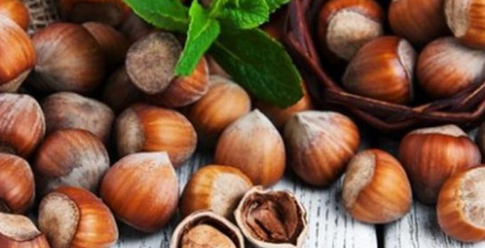 Fındık fiyatlarında spekülasyon uyarısı