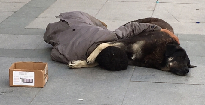 Taksim'de köpeğine sarılarak uyuyan çocuk yürek sızlattı