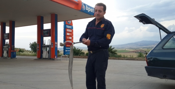 Hareket halindeki otomobilde yılan paniği