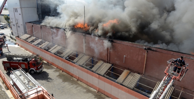 Mersin'de depo ve fabrikada yangın