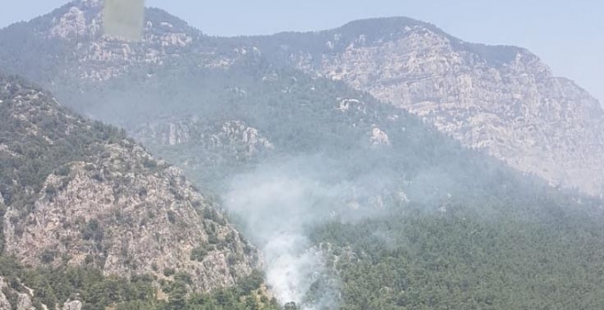 Muğla'da orman yangını