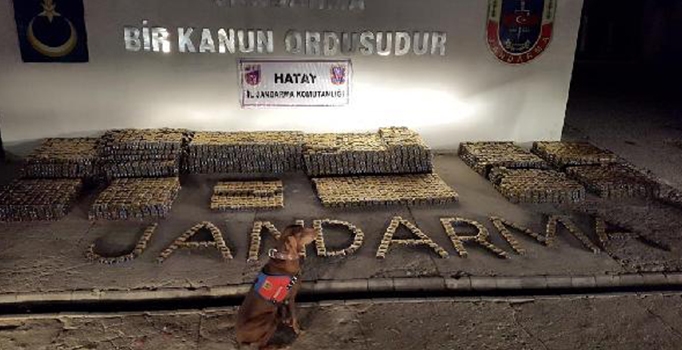 Hatay'da 831 bin uyuşturucu hap ele geçirildi