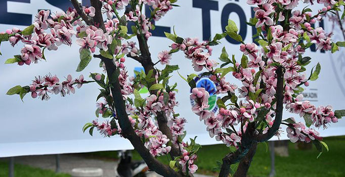Kadınların eseri İğne Oyalı Şeftali Ağacı heykeli Guinness rekorlar kitabında