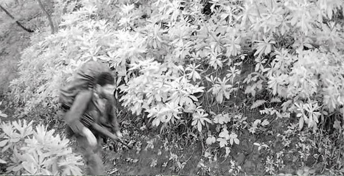 Eren Bülbül’ün katili teröristler fotokapana böyle yakalandı