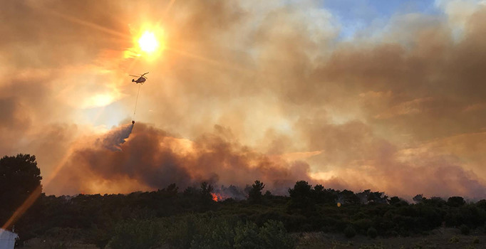 Çanakkale’de orman yangını