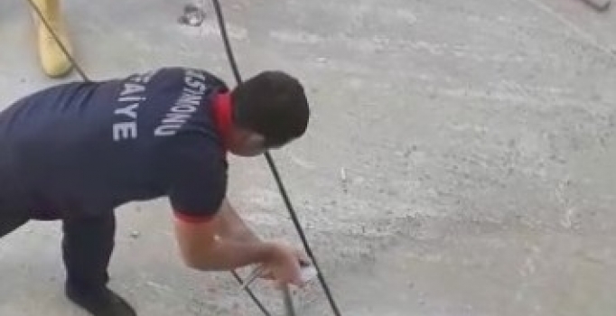 Kastamonu'da sıkça görülen yılanlar korkutuyor