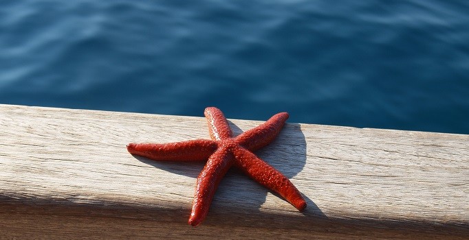 Turizmciler uçak yakıt desteğinden memnun