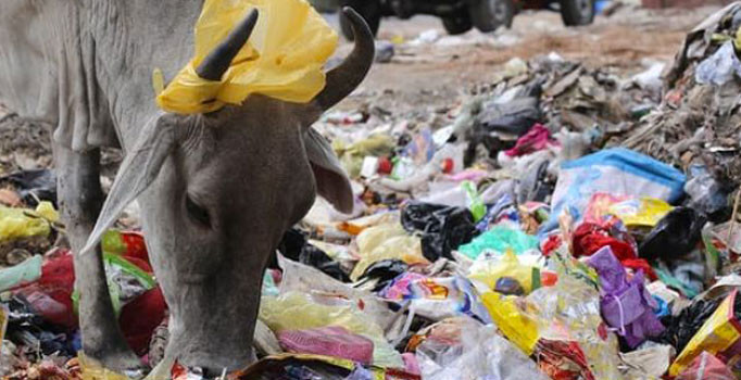Hindistan 2022'ye kadar tüm tek kullanımlık plastikleri yasaklayacak
