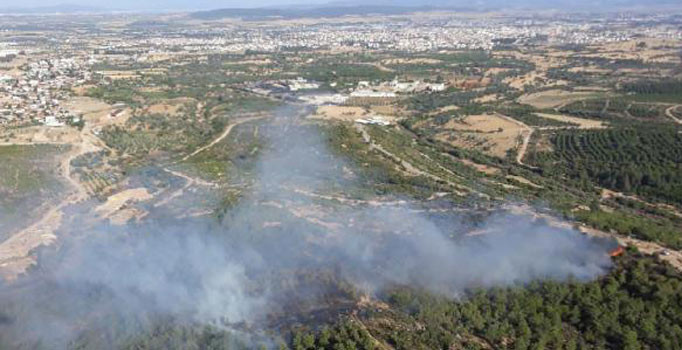 İzmir Menderes'te orman yangını çıktı