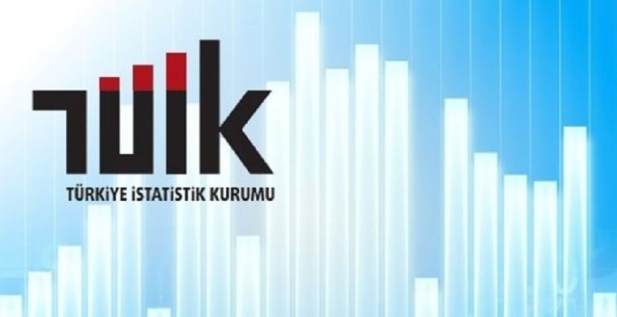 TÜİK verileri açıkladı: Mayıs’ta en fazla kazandıran yatırım aracı