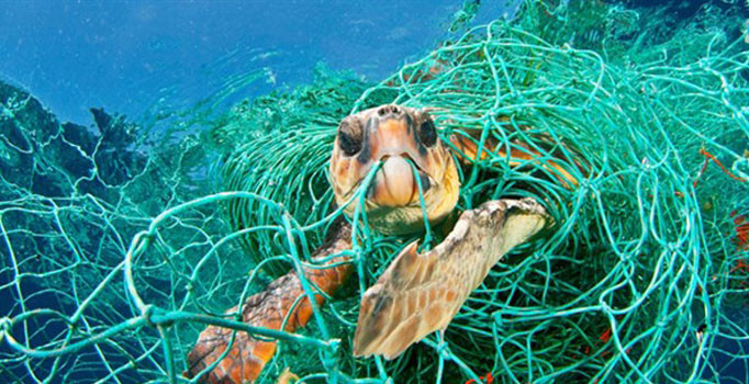 Akdeniz’e Türkiye’den günde tam 144 ton plastik atılıyor