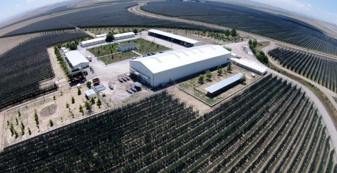 Avrupa'nın en büyük meyve bahçelerinden