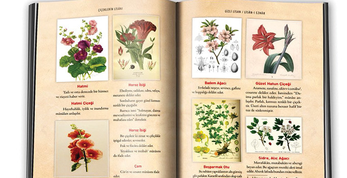 Bir demet çiçeğin gizli dili