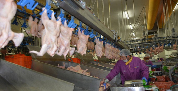 Türk tavuğunda hedef Japonya’dan sonra Çin