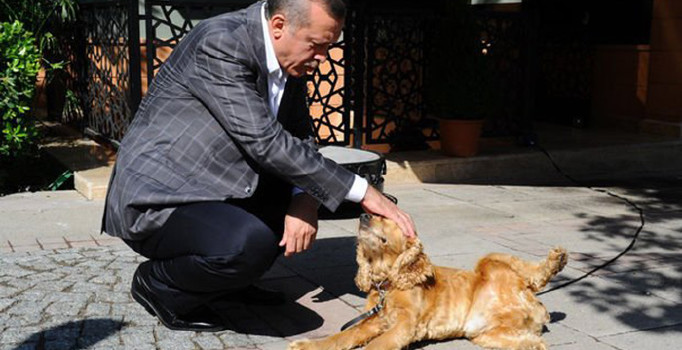 Cumhurbaşkanı Erdoğan paylaştı: Onlar bize emanet