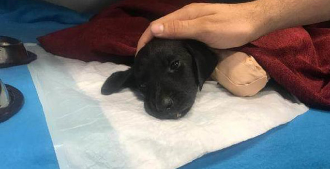 Son dakika! Kepçe operatörü tutuklandı