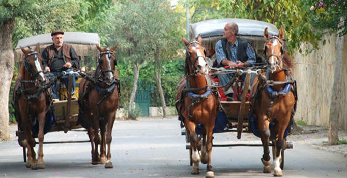 Faytonculardan 'açlık grevi' tehdidi