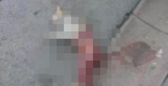 Yavru kedinin 4 ayağını kesip öldürdüler, ortaya çıkınca yok ettiler