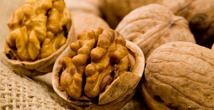 "Ceviz üretimi teşvikle kayıt altına alınmalı"