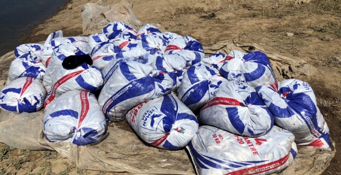 Van'da kaçak avlanan 7 ton 600 kilo inci kefali ele geçirildi