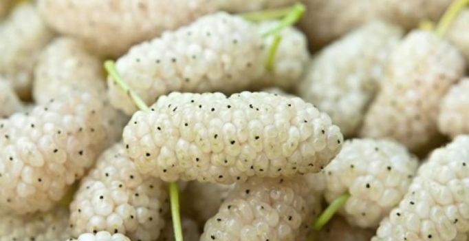 Bir çay bardağı dutun 10 faydası