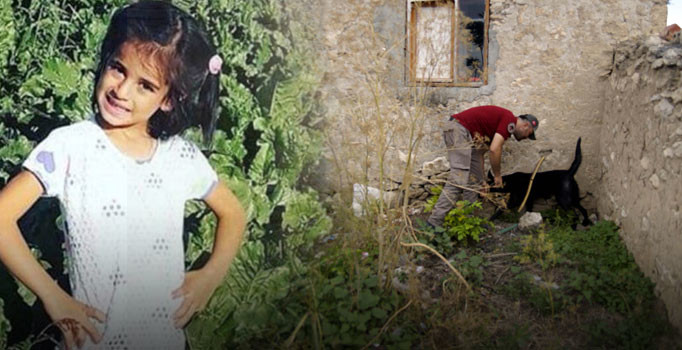 Bakan Gül'den Eylül'ün öldürülmesiyle ilgili açıklama: Sosyal medyadaki iddialar yalan