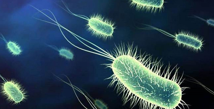 ABD'de satılan etler için 'süper bakteri' uyarısı