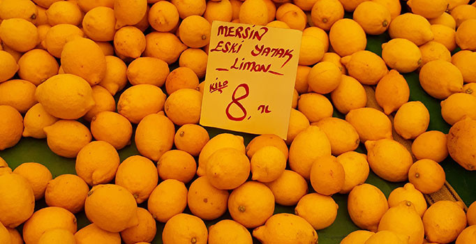 Limonun fiyatı bu sene el yakıyor