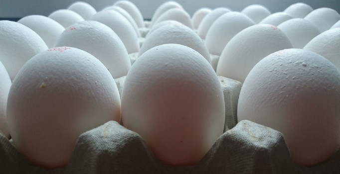 Türkiye'nin yumurta ihracatı 12 yılda 20 kat arttı