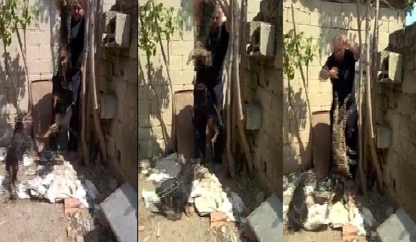 Kediye işkenceye 1002 TL para cezası