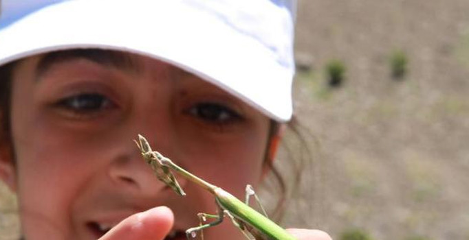 BİLSEM’den 'Doğanın Sanatla Stemi-2' projesi