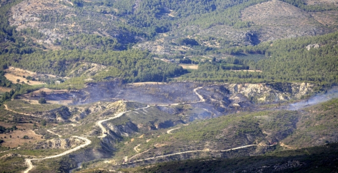 Mersin'de korkutan orman yangını