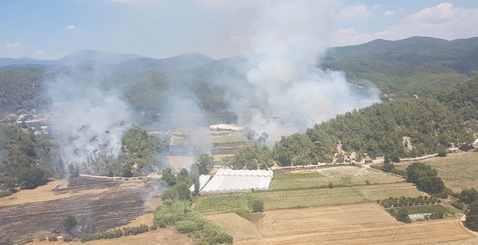 Antalya Manavgat’ta orman yangını