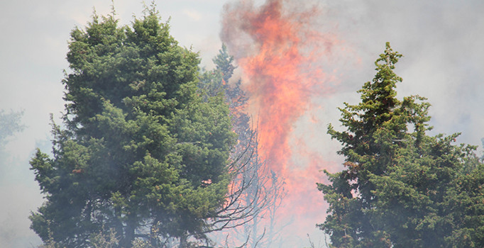 Konya’da orman yangını