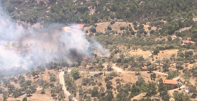 Muğla Datça’da ziraat yangını